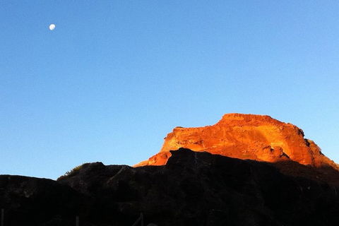 [Private Tour] Mornington Peninsula Family, Maze And Fun! - Darwin Holiday 4