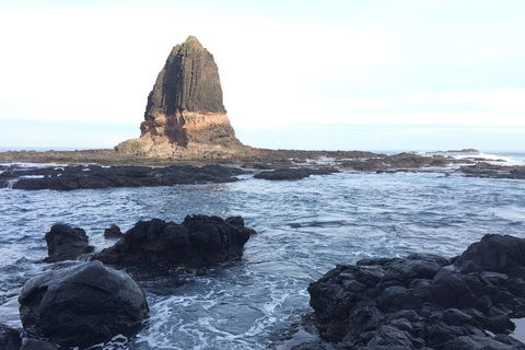 [Private Tour] Mornington Peninsula Family, Maze And Fun! - Darwin Holiday 5