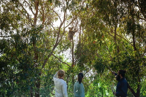 LGBT+ Friendly 3 Day Tour The Grampians, Daylesford & Ballarat - Darwin Holiday 4