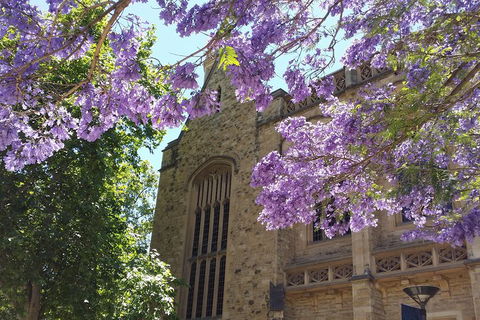 Cultural Caper Adelaide Walking Tour - Darwin Holiday 1