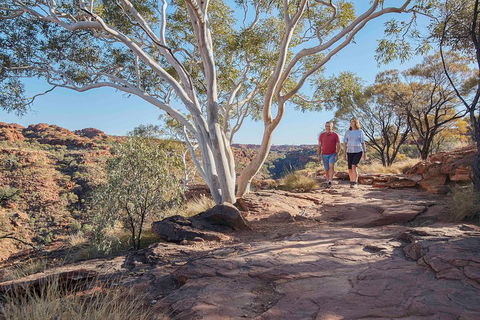 3-Day Tour From Uluru (Ayers Rock) To Alice Springs Via Kings Canyon - Darwin Holiday 1