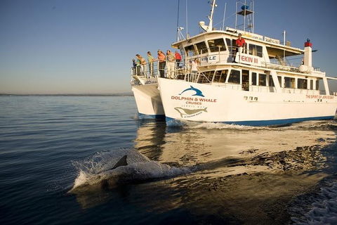 Jervis Bay Dolphin Watch Cruise - Darwin Holiday 3