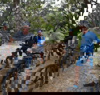 Fully guided E-Mountain Bike Tour on the beautiful Mornington Peninsula.