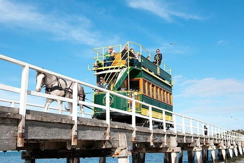 6 Days Adelaide All-Inclusive Touring Package - Darwin Holiday 2