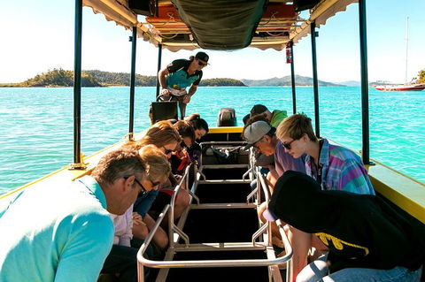 Airlie Beach Glass Bottom Boat Tour - Darwin Holiday 1