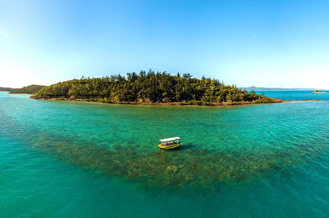 Airlie Beach Glass Bottom Boat Tour - Darwin Holiday 3