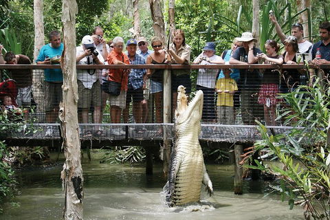Hartley's Crocodile Adventure Half-Day Tour - Darwin Holiday 1