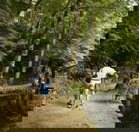 Discover Tour Dandenong Ranges  William Ricketts Sanctuary - Darwin Holiday