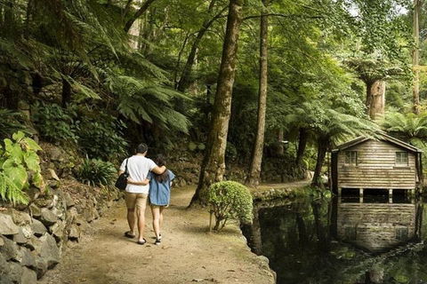 Discover Tour: Dandenong Ranges & William Ricketts Sanctuary - Darwin Holiday 0