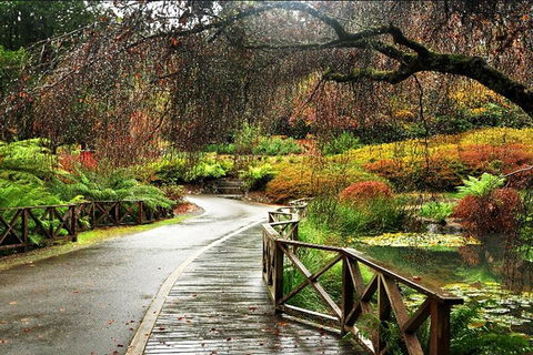 Discover Tour: Dandenong Ranges & William Ricketts Sanctuary - Darwin Holiday 3