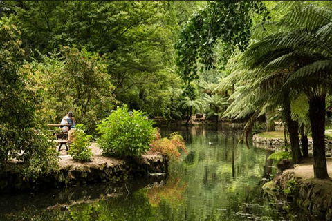 Discover Tour: Dandenong Ranges & William Ricketts Sanctuary - Darwin Holiday 4
