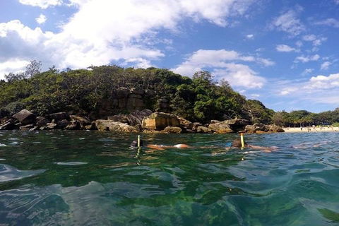 Manly And Shelly Beach Snorkeling Tour - Darwin Holiday 4