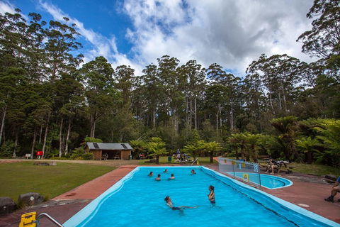 Tahune Airwalk Active Day Trip From Hobart Including Hastings Caves - Darwin Holiday 0