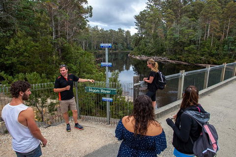 Tahune Airwalk Active Day Trip From Hobart Including Hastings Caves - Darwin Holiday 1