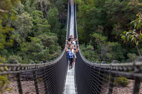 Tahune Airwalk Active Day Trip From Hobart Including Hastings Caves - Darwin Holiday 3