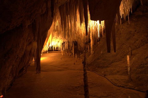 Tahune Airwalk Active Day Trip From Hobart Including Hastings Caves - Darwin Holiday 4