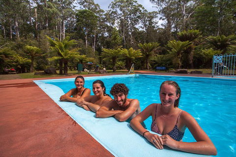 Tahune Airwalk Active Day Trip From Hobart Including Hastings Caves - Darwin Holiday 5