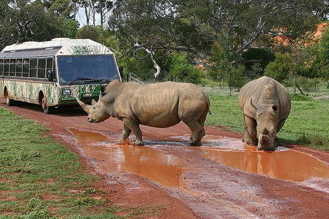 The Ultimate Melbourne Attractions Pass - Darwin Holiday 4