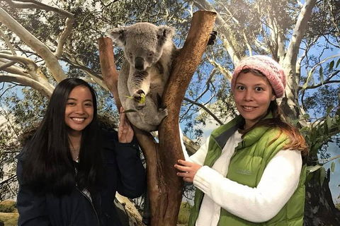 The Ultimate Sydney Attractions Pass - Darwin Holiday 1