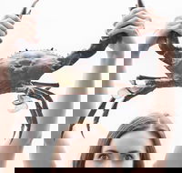 The Ultimate Gold Coast Attractions Pass - Darwin Holiday