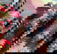 Private Drag Queen Tour into Sydney's LGBT Hub - Darwin Holiday