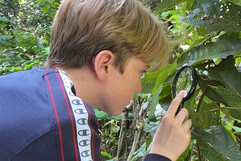 Let's Go Buggin & Let's Go Shroomin - Photography & Nature Walking Tours - Darwin Holiday 3