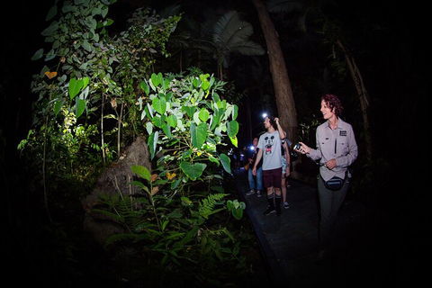 Let's Go Buggin & Let's Go Shroomin - Photography & Nature Walking Tours - Darwin Holiday 4