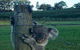 The Secret Vines Experience Port Macquarie - thumb 0