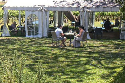 The Secret Vines Experience Port Macquarie - Darwin Holiday 2