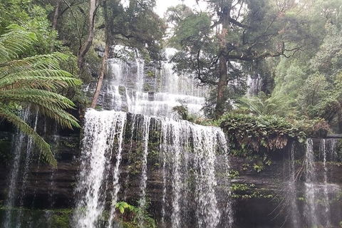 6-Day Hearty Tasmania Tour (Tasmania In A Circle) - Darwin Holiday 0