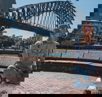 Sydney Food Tour with a Local Guide Private  Personalized  - Darwin Holiday