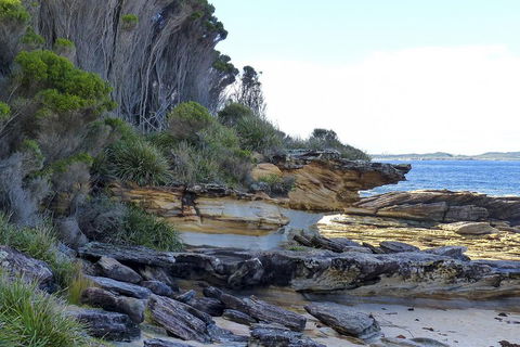 Day Trip To Cronulla & The Royal National Park - Darwin Holiday 4