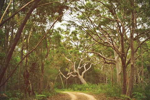 Day Trip To Cronulla & The Royal National Park - Darwin Holiday 5