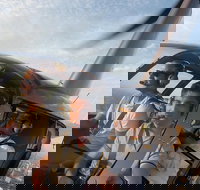 Melbourne and Port Phillip Bay Helicopter Tour - Darwin Holiday