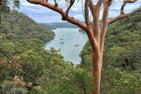 Shore Excursion: Sydney's Northern Beaches & Ku-ring-gai National Park Bus Tour - Darwin Holiday 1