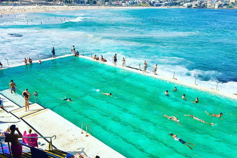 Sydney City, Harbour & Bondi Private Tour, With Airport Pick Up Or Drop Off - Darwin Holiday 0