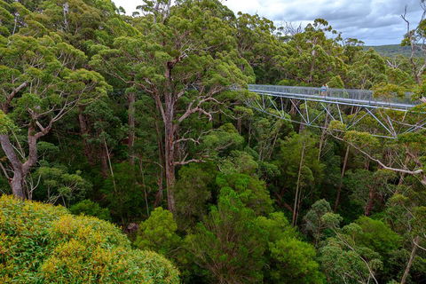 4 Day Tour: Albany, Margaret River, Valley Of The Giants TreeTop Walk From Perth - Darwin Holiday 4