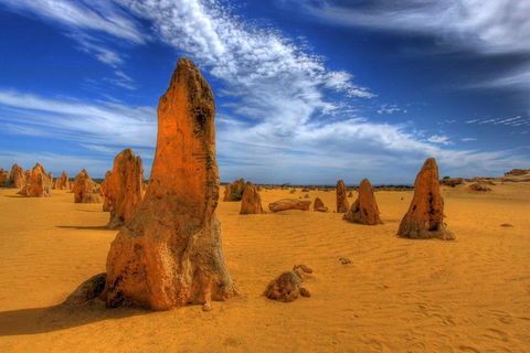 Pinnacles Desert & New Norcia Day Tour From Perth - Darwin Holiday 0