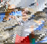 Pinnacles Desert Koalas and Sandboarding 4WD Day Tour from Perth - Darwin Holiday