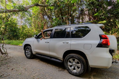 Full Day Cooktown Private Tour - Darwin Holiday 3