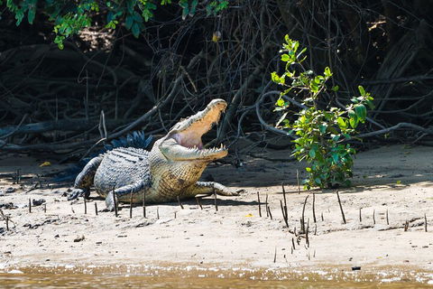 Full Day Cooktown Private Tour - Darwin Holiday 4