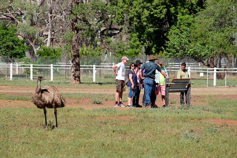 Yura Udnyu - Our Culture, Your Culture (Aboriginal Cultural Walk) - Darwin Holiday 1