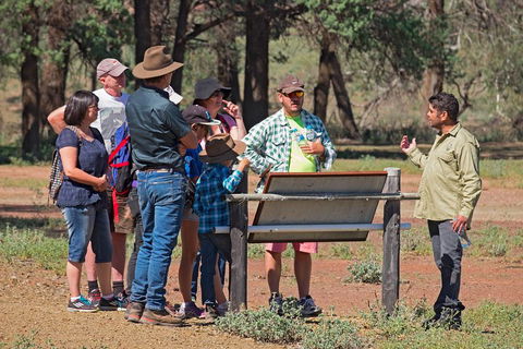 Yura Udnyu - Our Culture, Your Culture (Aboriginal Cultural Walk) - Darwin Holiday 2