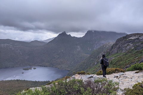 5-Day Best Of Tasmania Tour From Hobart - Darwin Holiday 3