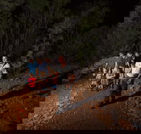 Alice Springs Desert Park Nocturnal Tour - Darwin Holiday