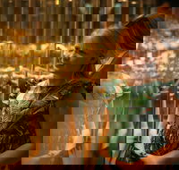 The Perth Mint Guided Heritage Tour and Gold Pour - Darwin Holiday