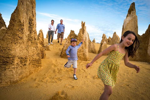 Full-Day Pinnacles Desert And Yanchep National Park Tour From Perth - Darwin Holiday 0