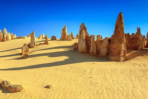Full-Day Pinnacles Desert And Yanchep National Park Tour From Perth - Darwin Holiday 2