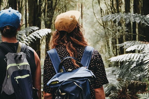 Small Group - Yarra Valley & Dandenong Ranges Hike From Melbourne - Darwin Holiday 0