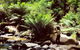 Small Group - Yarra Valley & Dandenong Ranges Hike From Melbourne - thumb 4